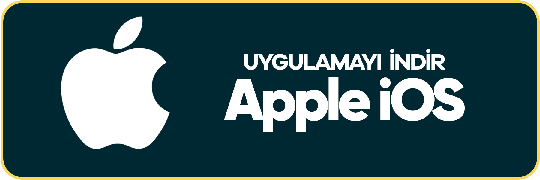 iOS App